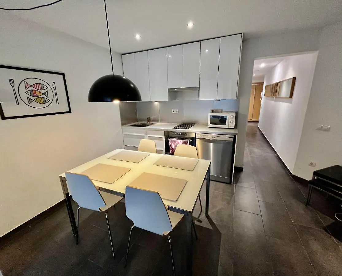 Gorgeous Apartment In Downtown Barcelona