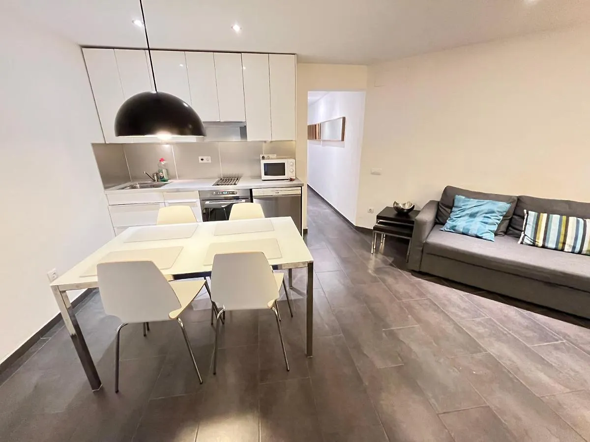 Gorgeous Apartment In Downtown Barcelona Spain
